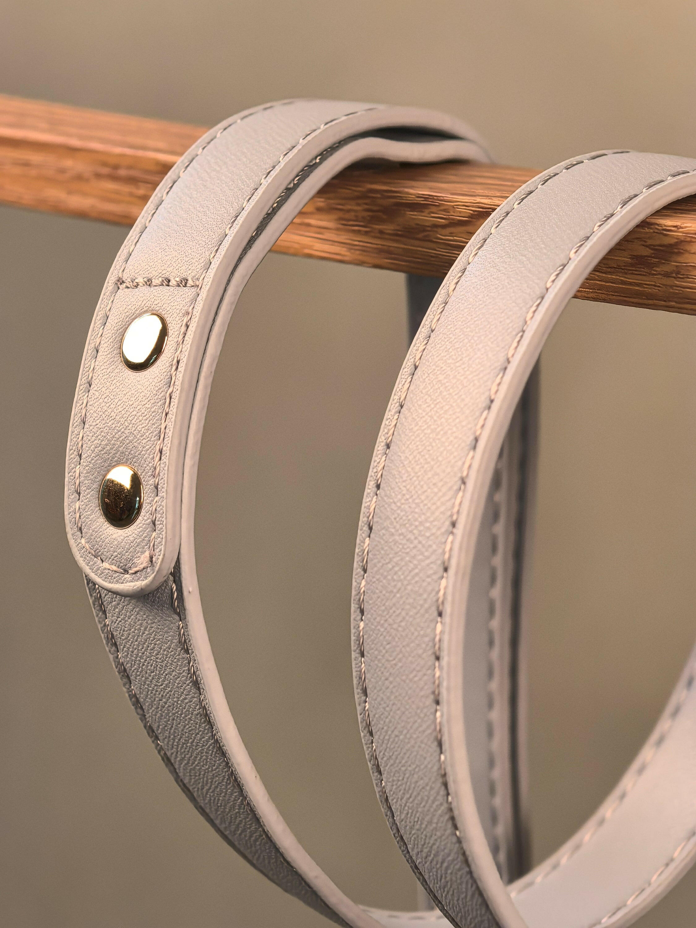 INITIUM LEASH - HAZE BLUE - PetLiveliest - PetLiveliest