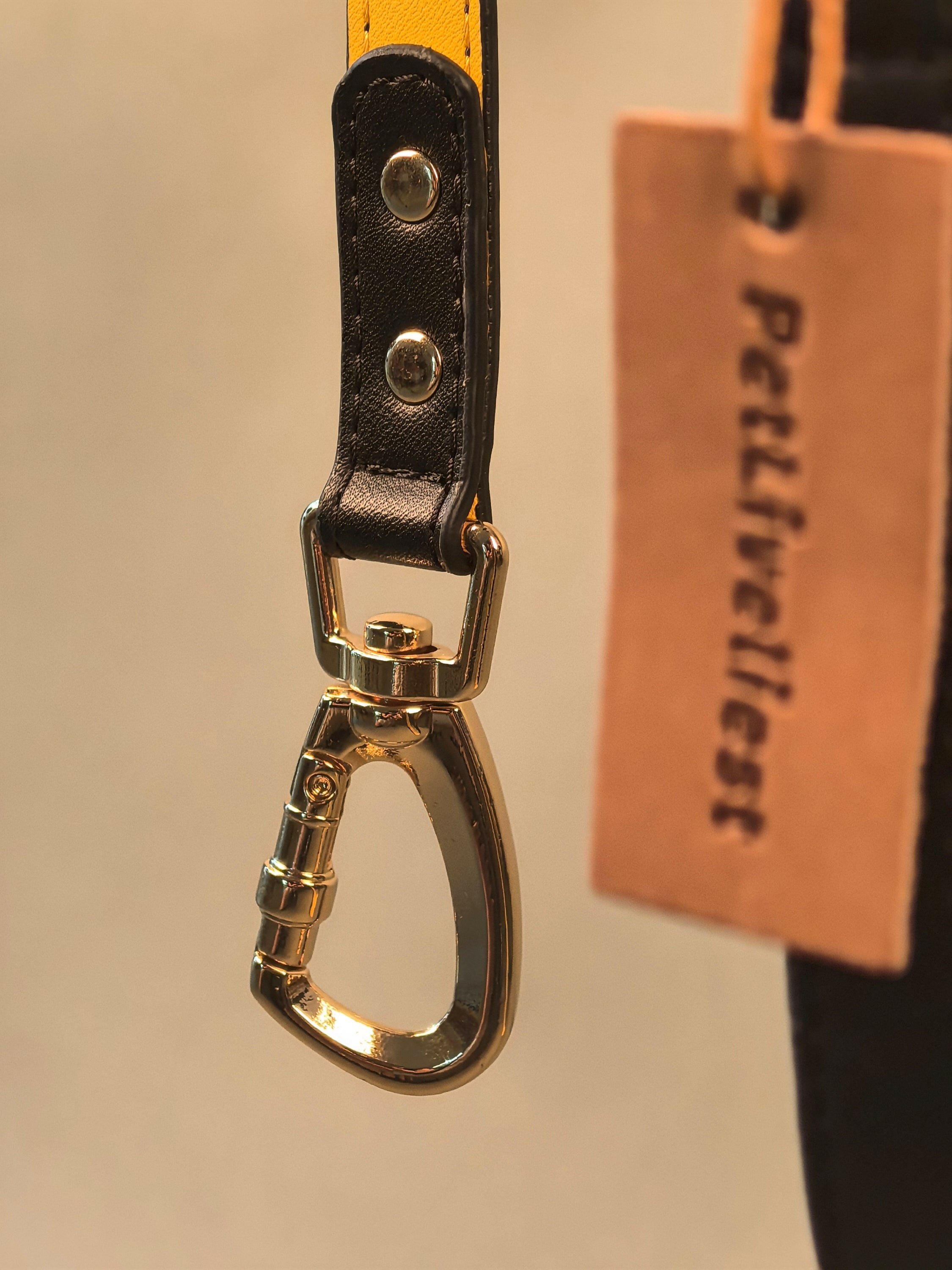 INITIUM LEASH - BLACK/YELLOW - PetLiveliest - PetLiveliest