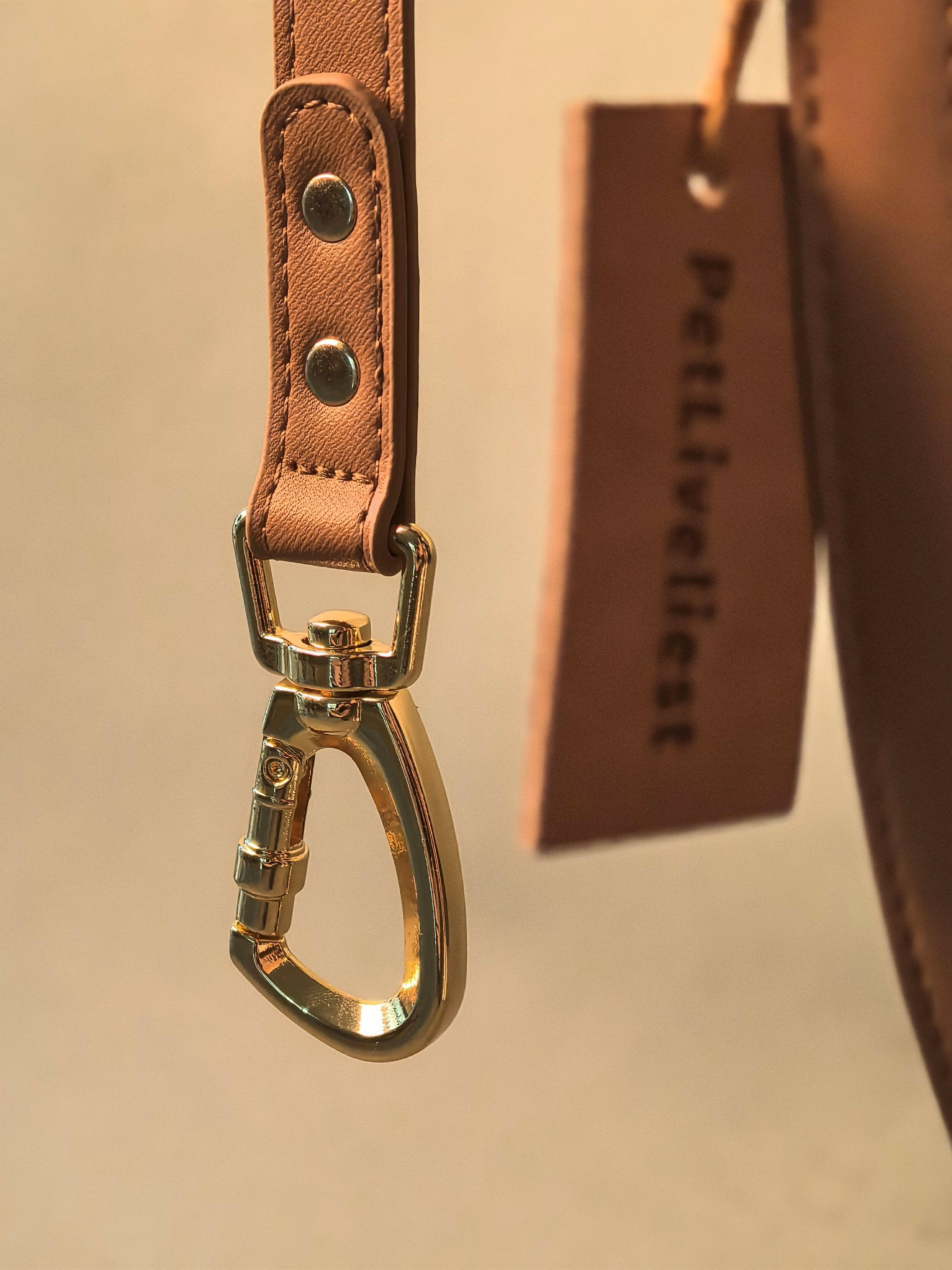 INITIUM LEASH - BEAR BROWN - PetLiveliest - PetLiveliest