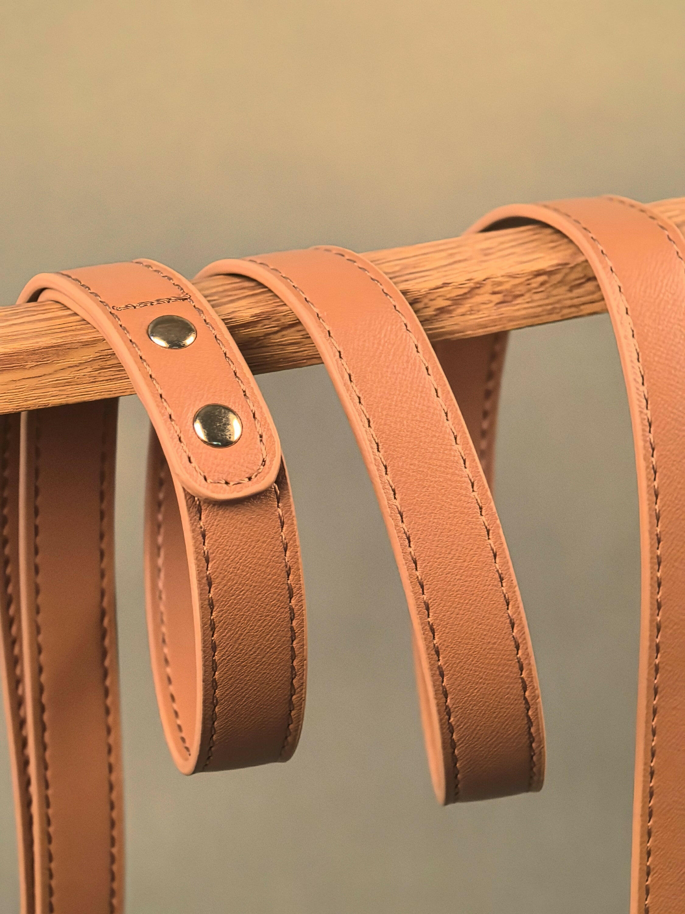 INITIUM LEASH - BEAR BROWN - PetLiveliest - PetLiveliest