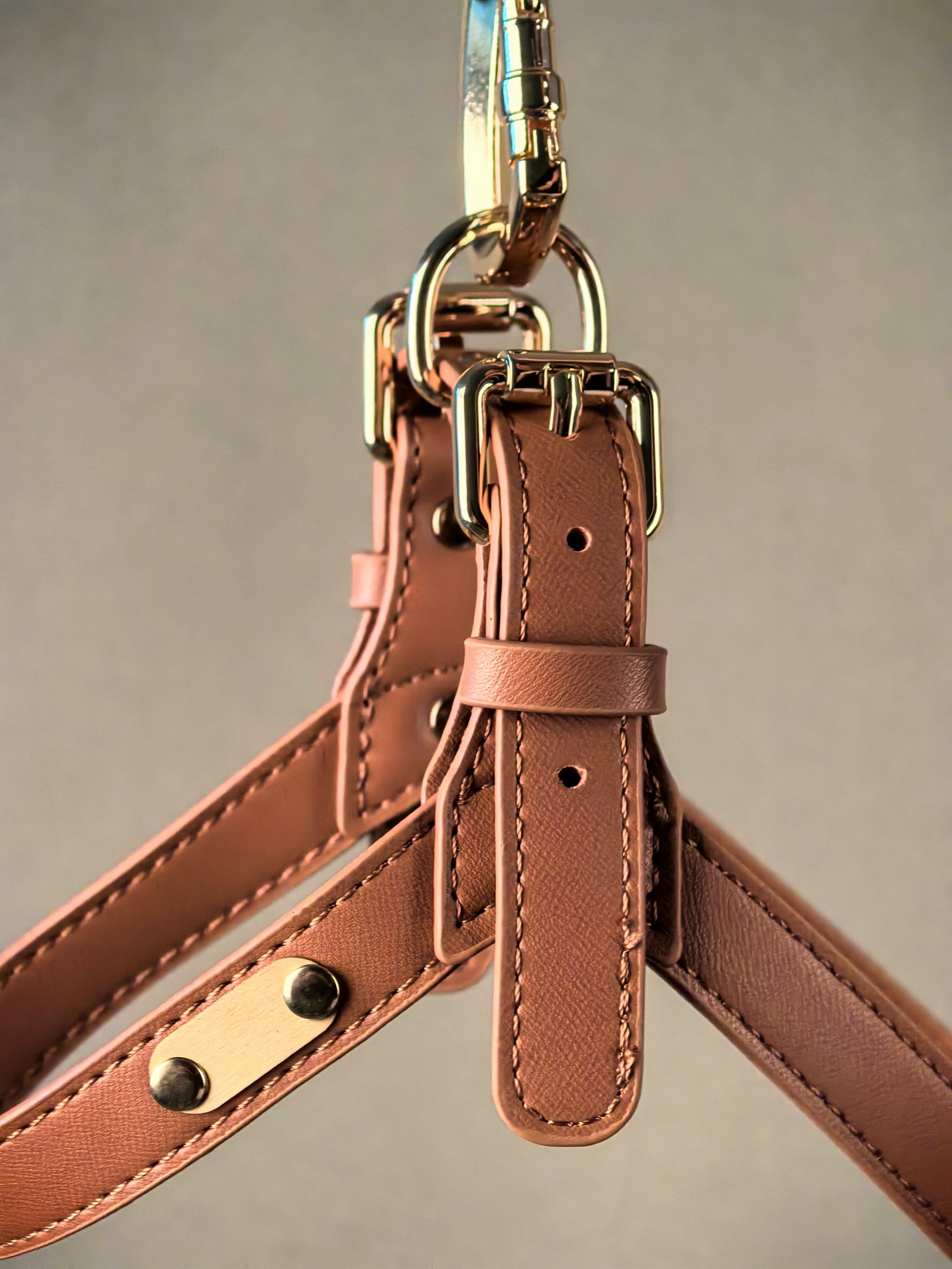 ARMA HARNESS - BEAR BROWN - PetLiveliest - PetLiveliest