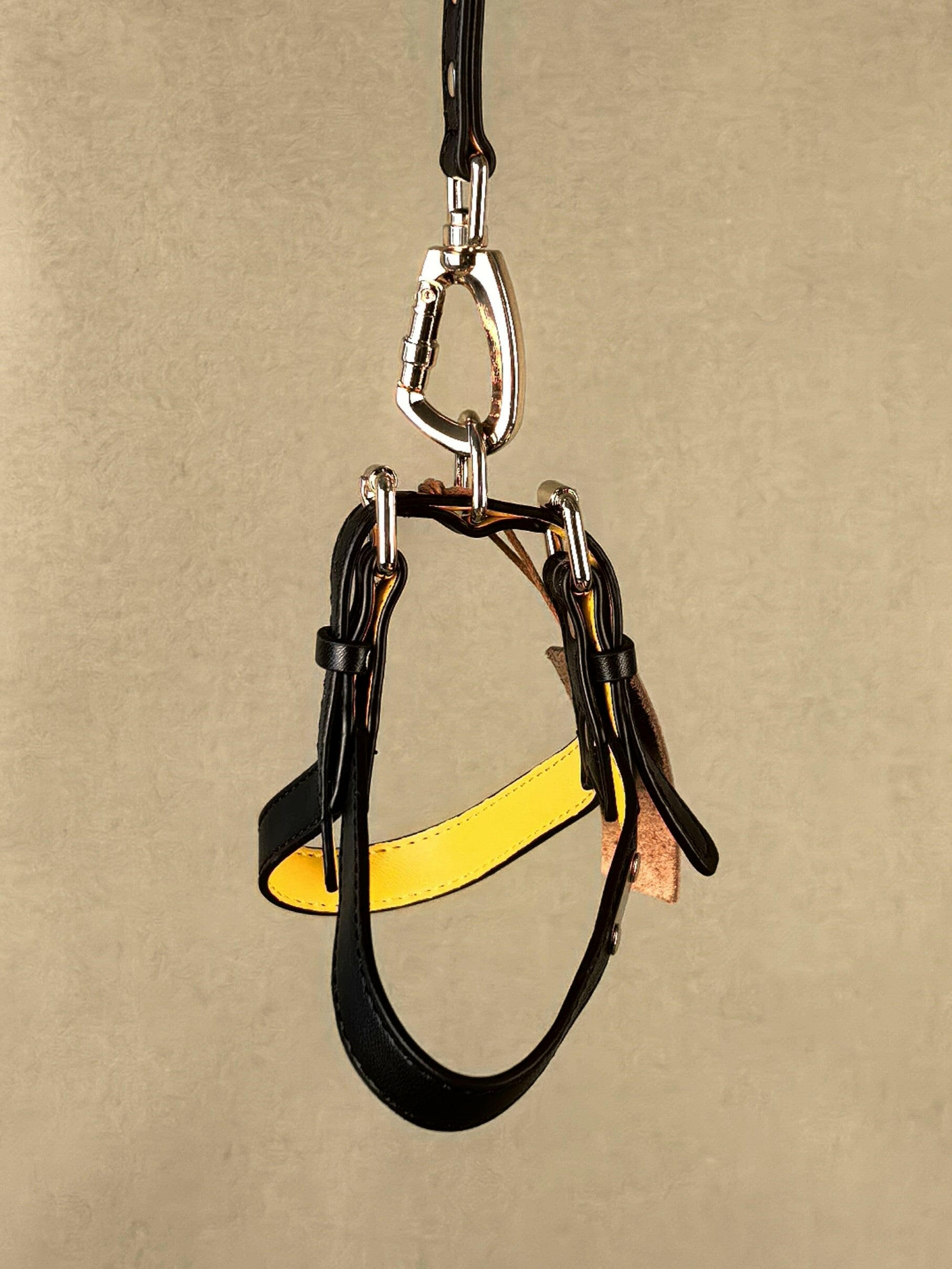ARMA HARNESS - BLACK/YELLOW - PetLiveliest - PetLiveliest