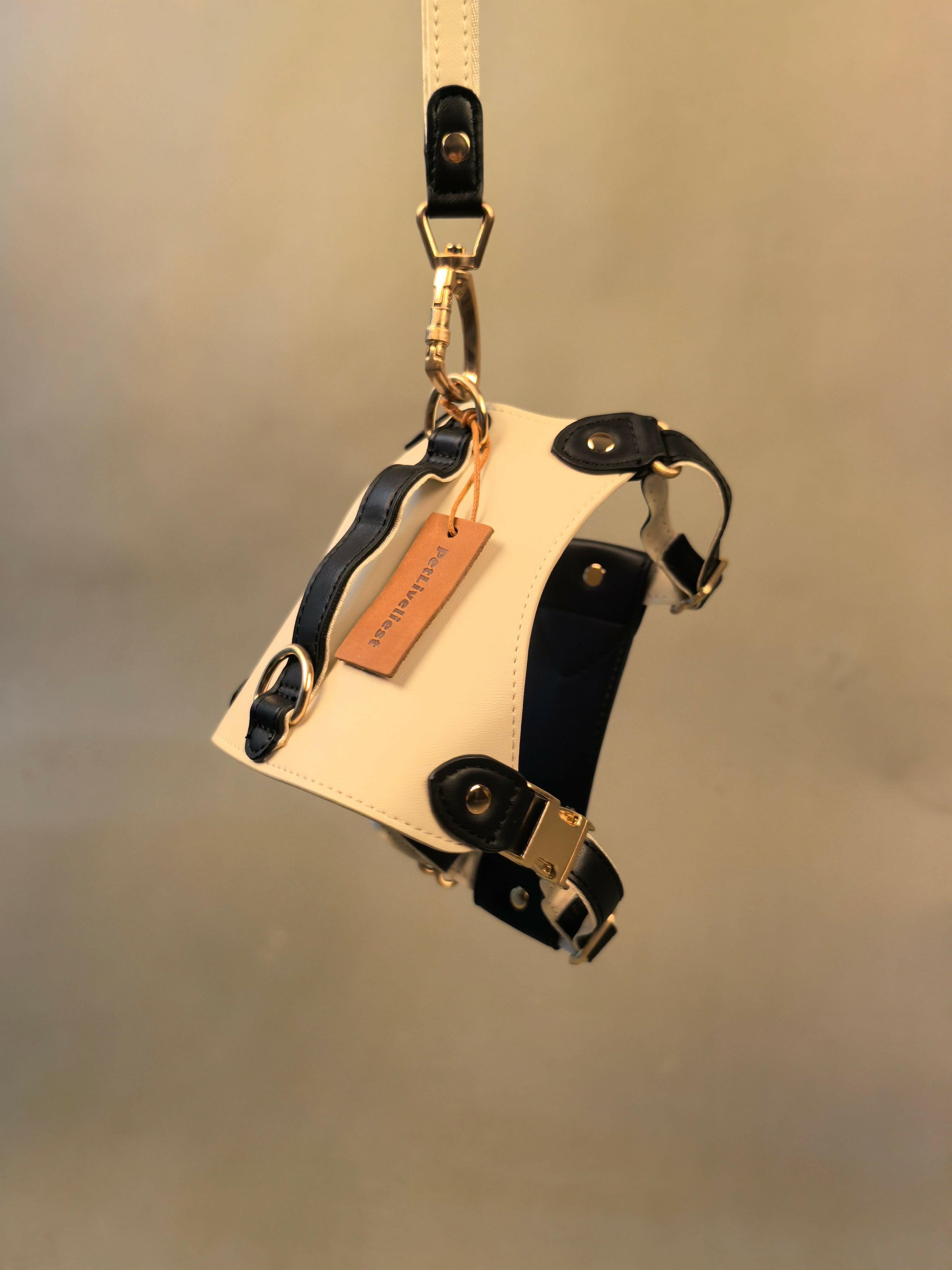 EQUES HARNESS - JET BLACK/WHITE - PetLiveliest - PetLiveliest