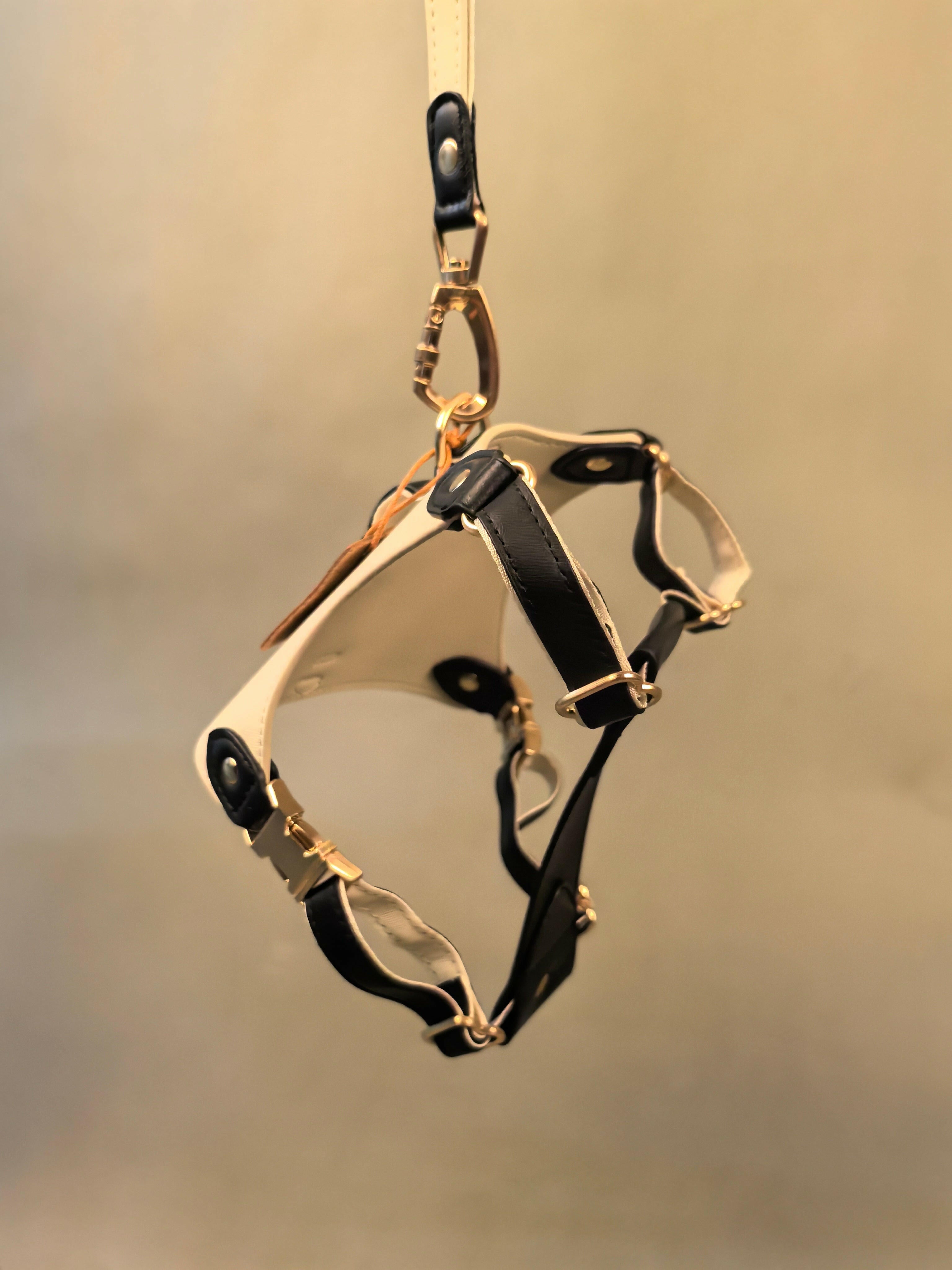 EQUES HARNESS - JET BLACK/WHITE - PetLiveliest - PetLiveliest