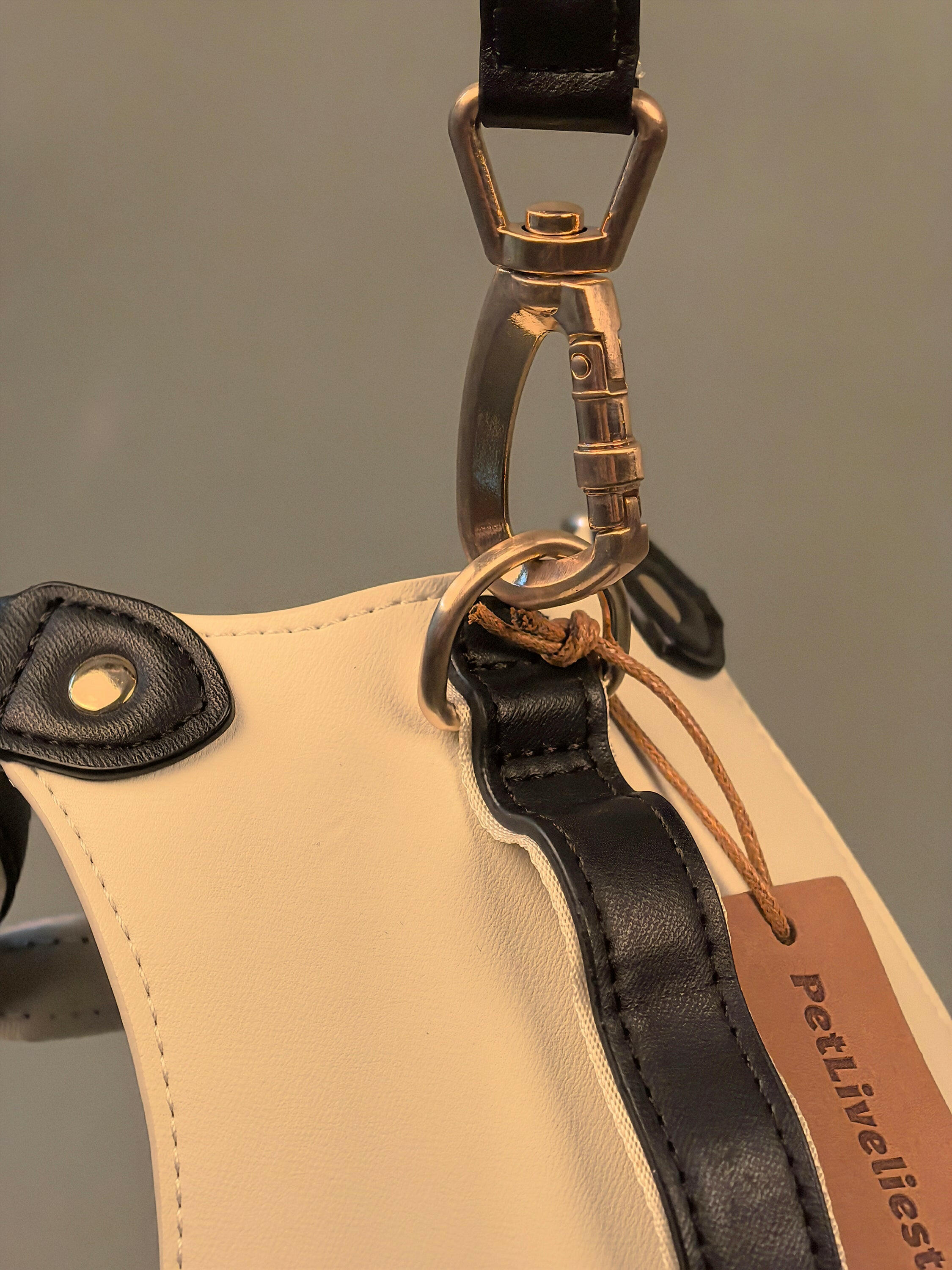 EQUES HARNESS - JET BLACK/WHITE - PetLiveliest - PetLiveliest