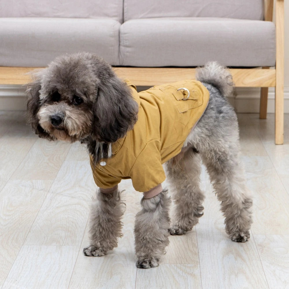 Insulated Waterproof Warm Coat for Winter Hiking - PetLiveliest - PetLiveliest
