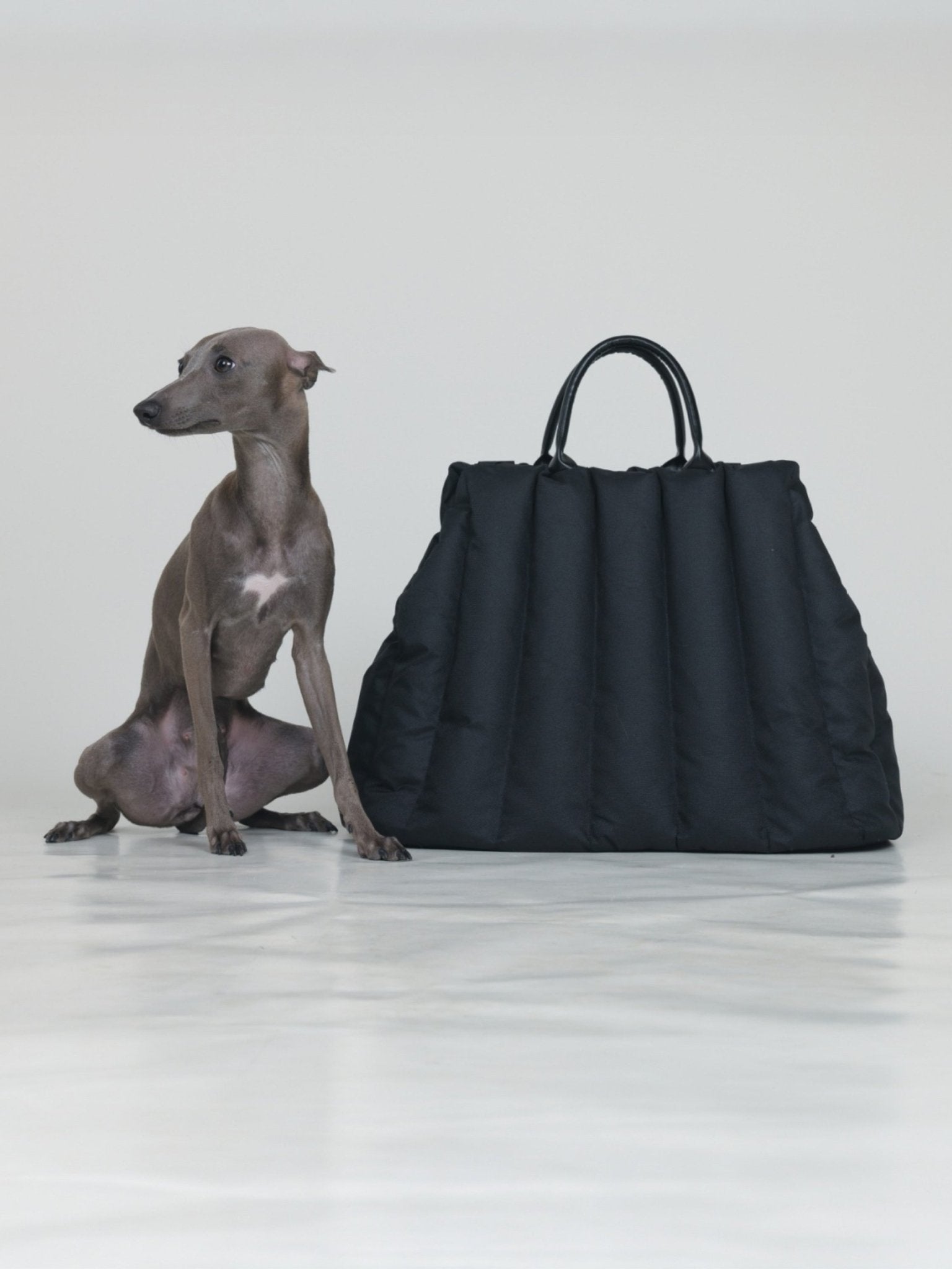 AMBULATIO CARRYING BAG - JET BLACK - PetLiveliest - PetLiveliest