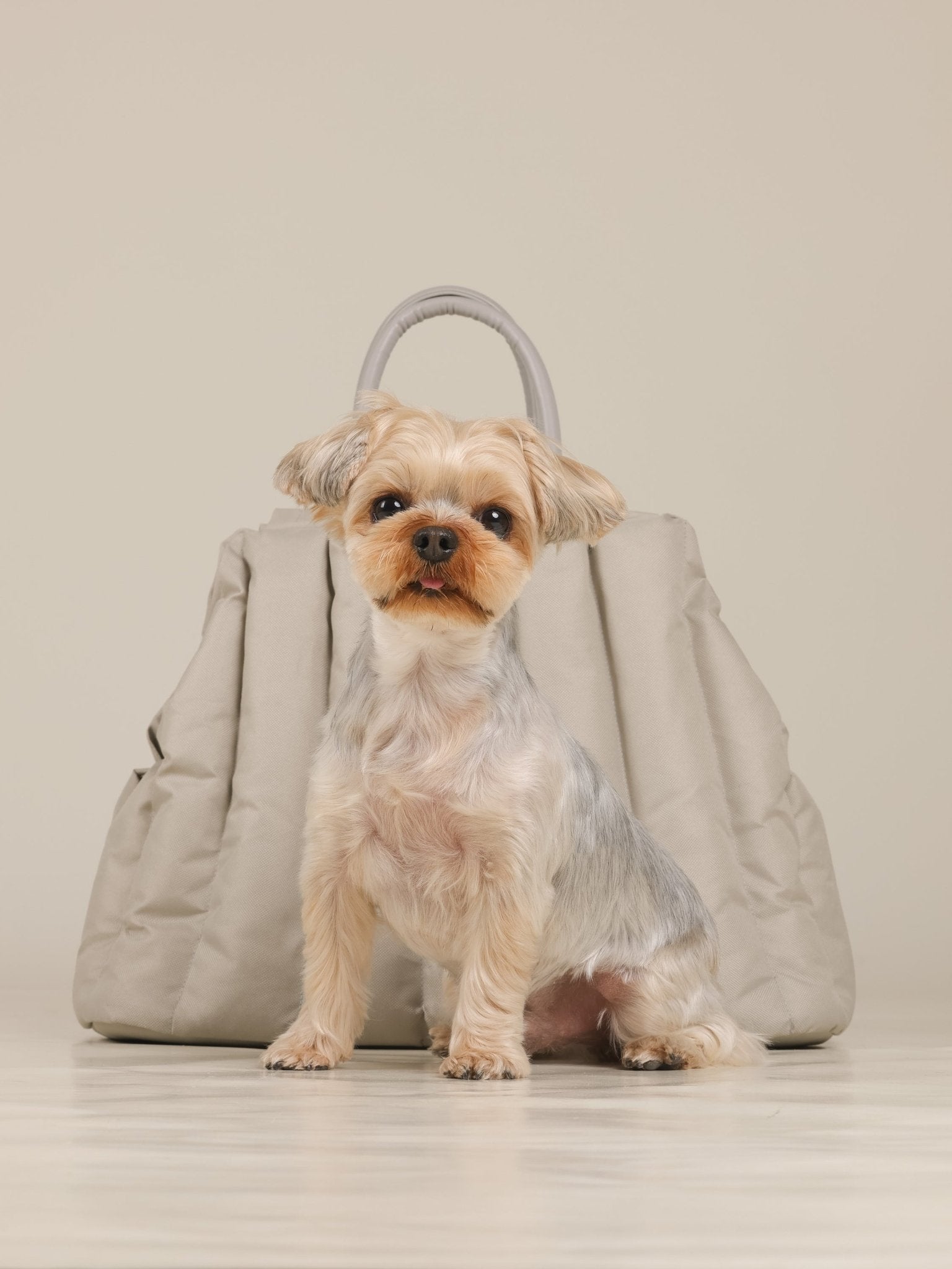 AMBULATIO CARRYING BAG - LIGHT GRAY - PetLiveliest - PetLiveliest