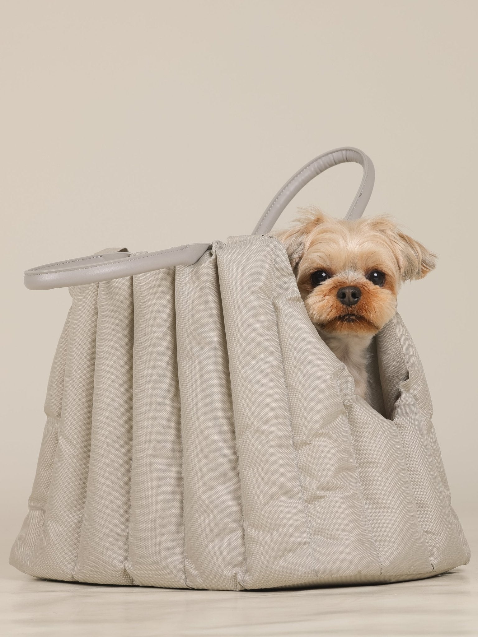 AMBULATIO CARRYING BAG - LIGHT GRAY - PetLiveliest - PetLiveliest