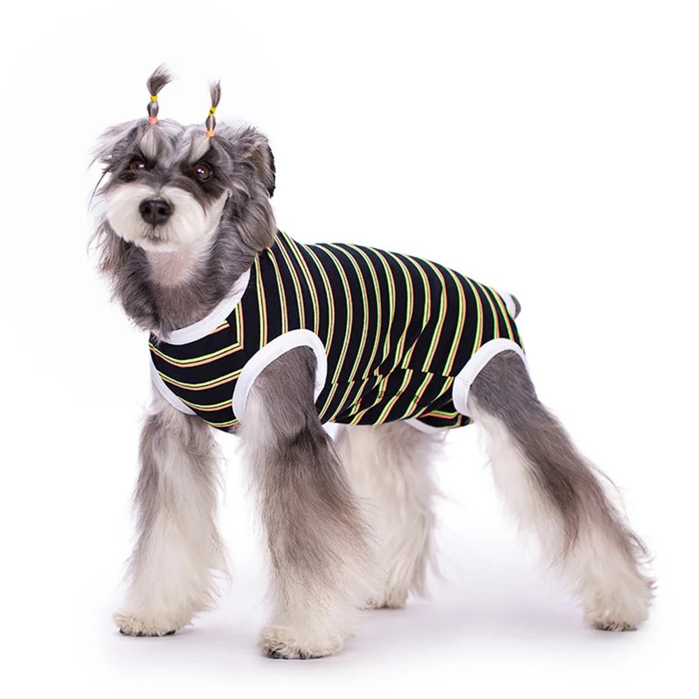 Anti - Licking Diaper Sanitary Panties Jumpsuit - PetLiveliest - PetLiveliest