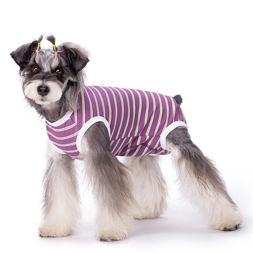 Anti - Licking Diaper Sanitary Panties Jumpsuit - PetLiveliest - PetLiveliest