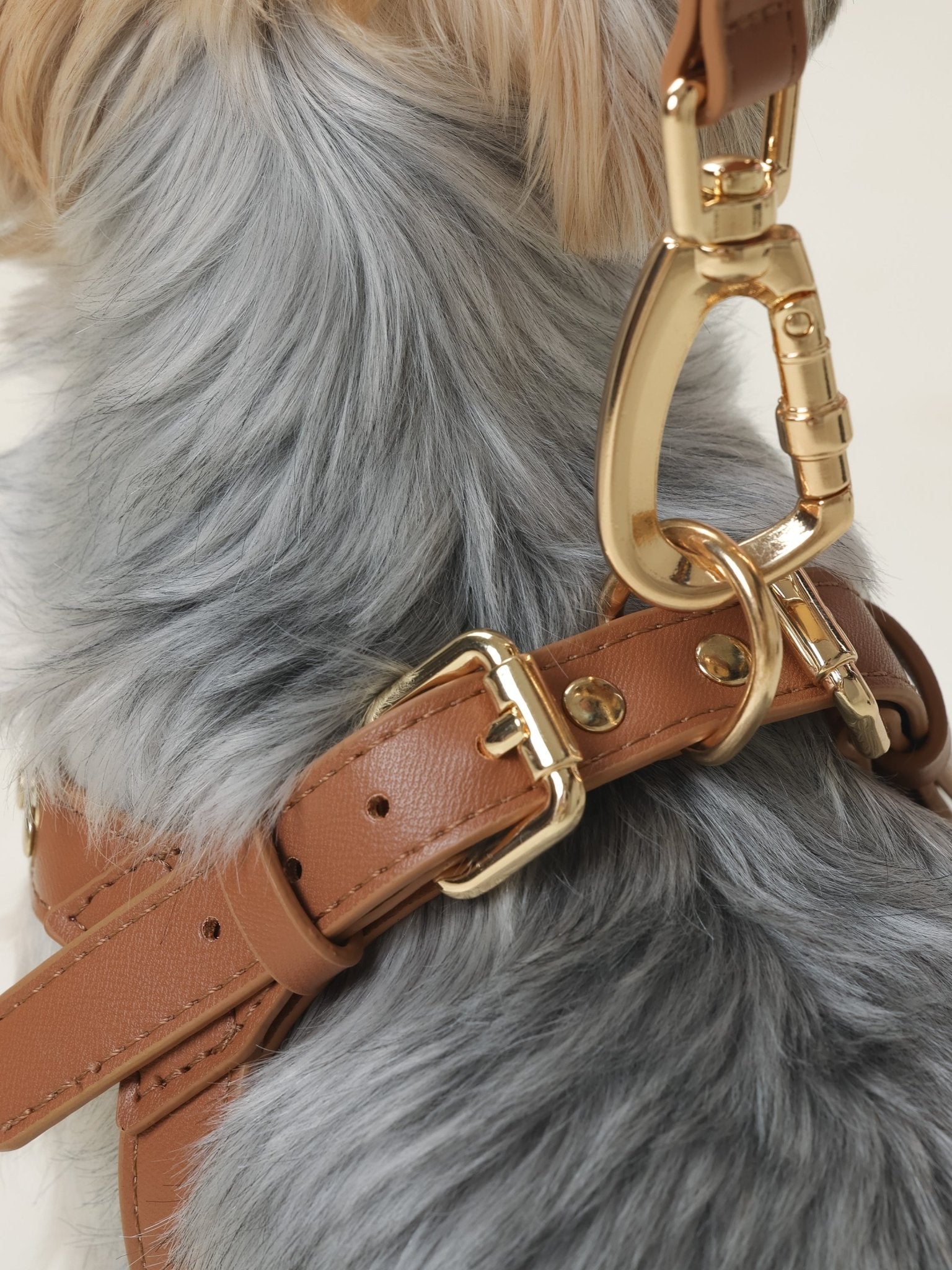 ARMA HARNESS - BEAR BROWN - PetLiveliest - PetLiveliest