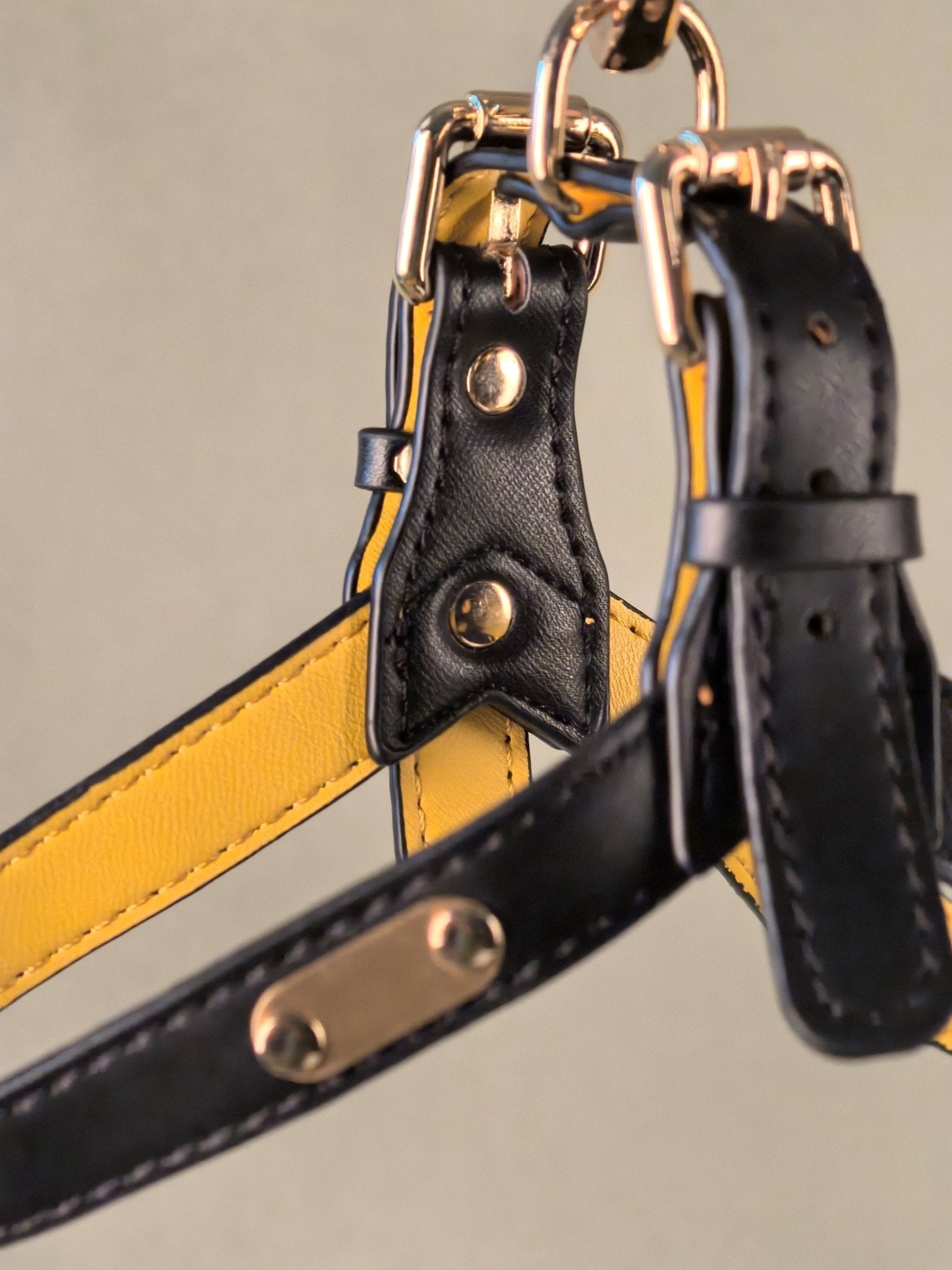 ARMA HARNESS - BLACK/YELLOW - PetLiveliest - PetLiveliest