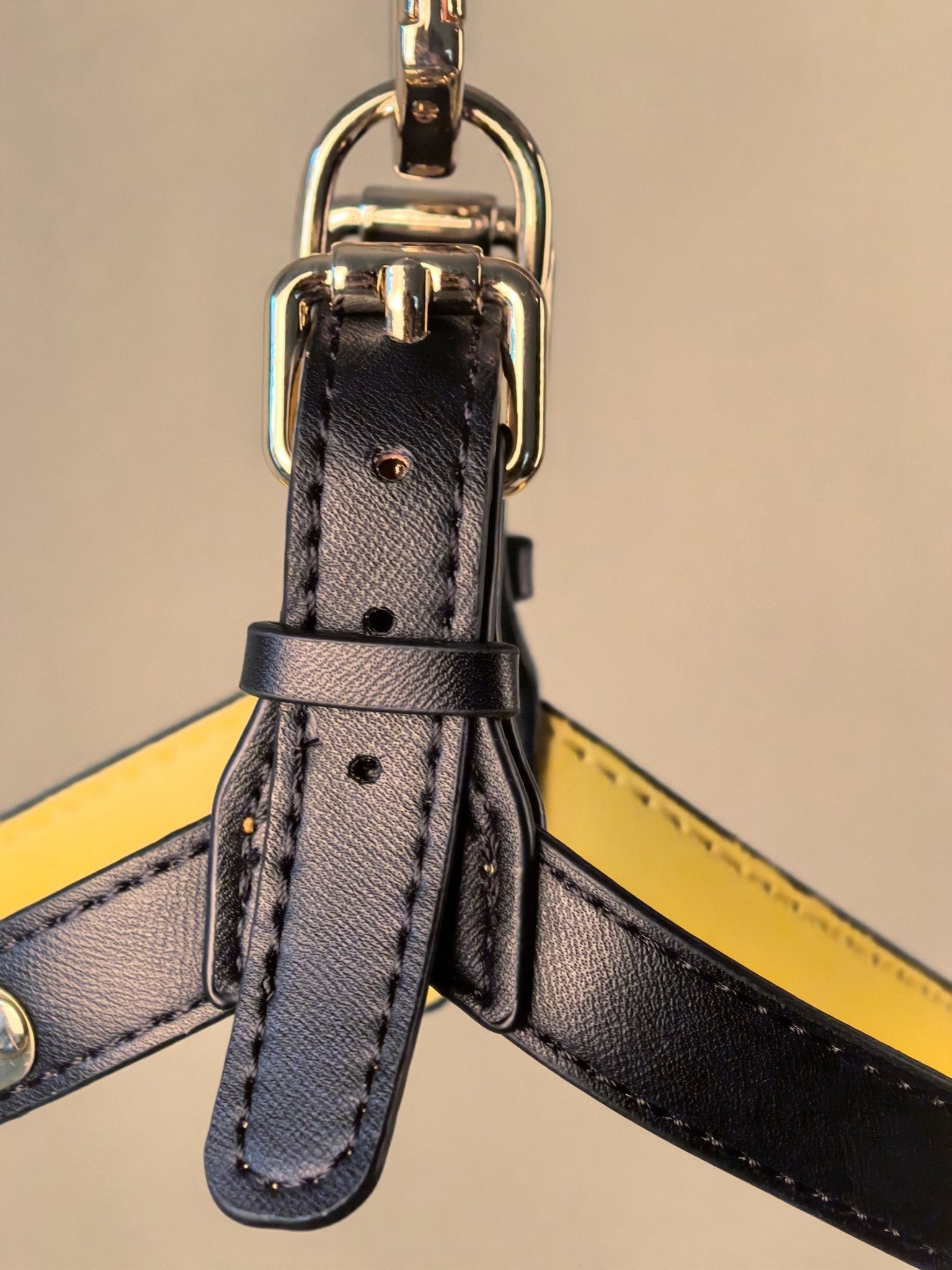 ARMA HARNESS - BLACK/YELLOW - PetLiveliest - PetLiveliest