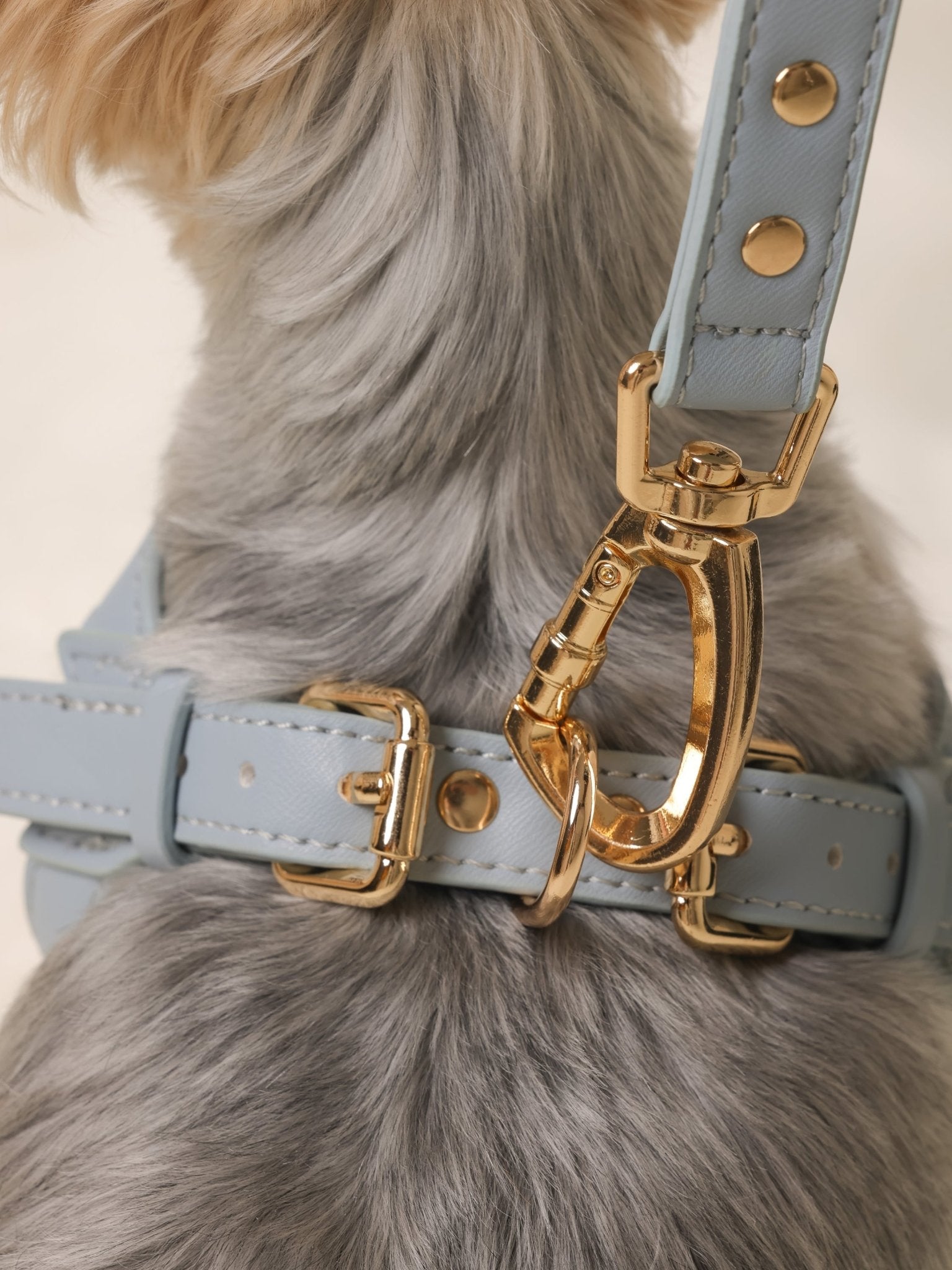 ARMA HARNESS - HAZE BLUE - PetLiveliest - PetLiveliest
