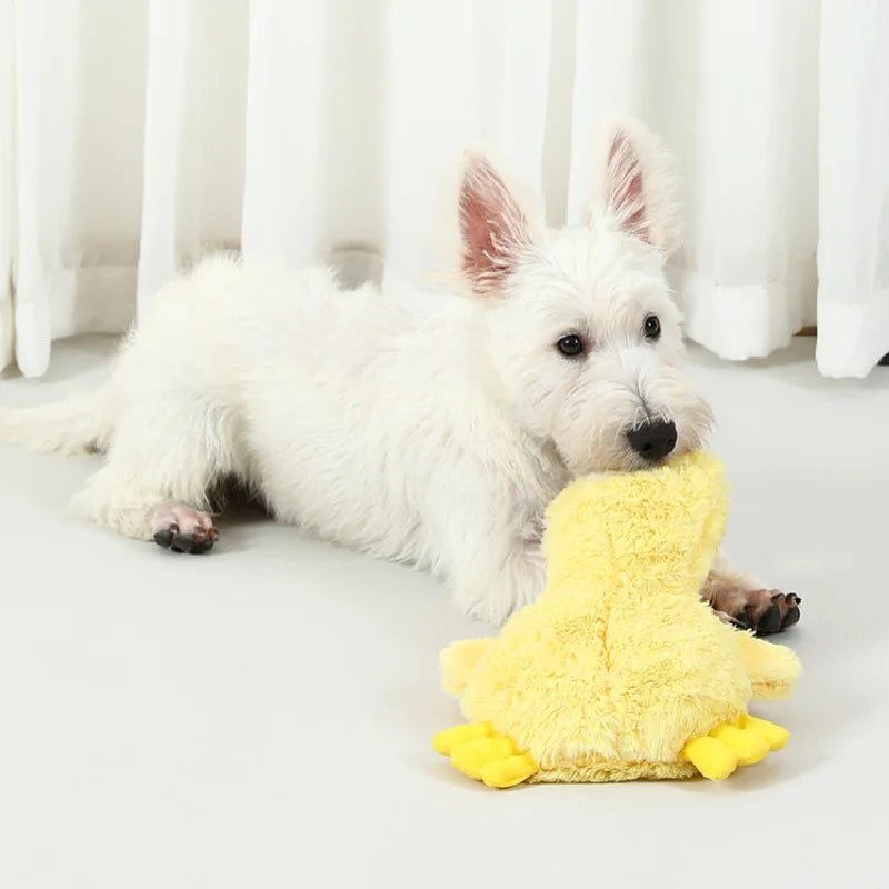 Plush Crinkle Dog Toy - PetLiveliest - PetLiveliest