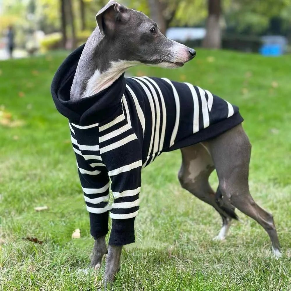 Black - White Striped Hooded Shirt - PetLiveliest - PetLiveliest