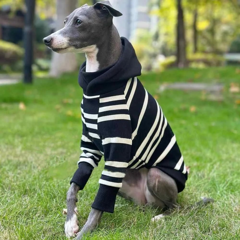 Black - White Striped Hooded Shirt - PetLiveliest - PetLiveliest