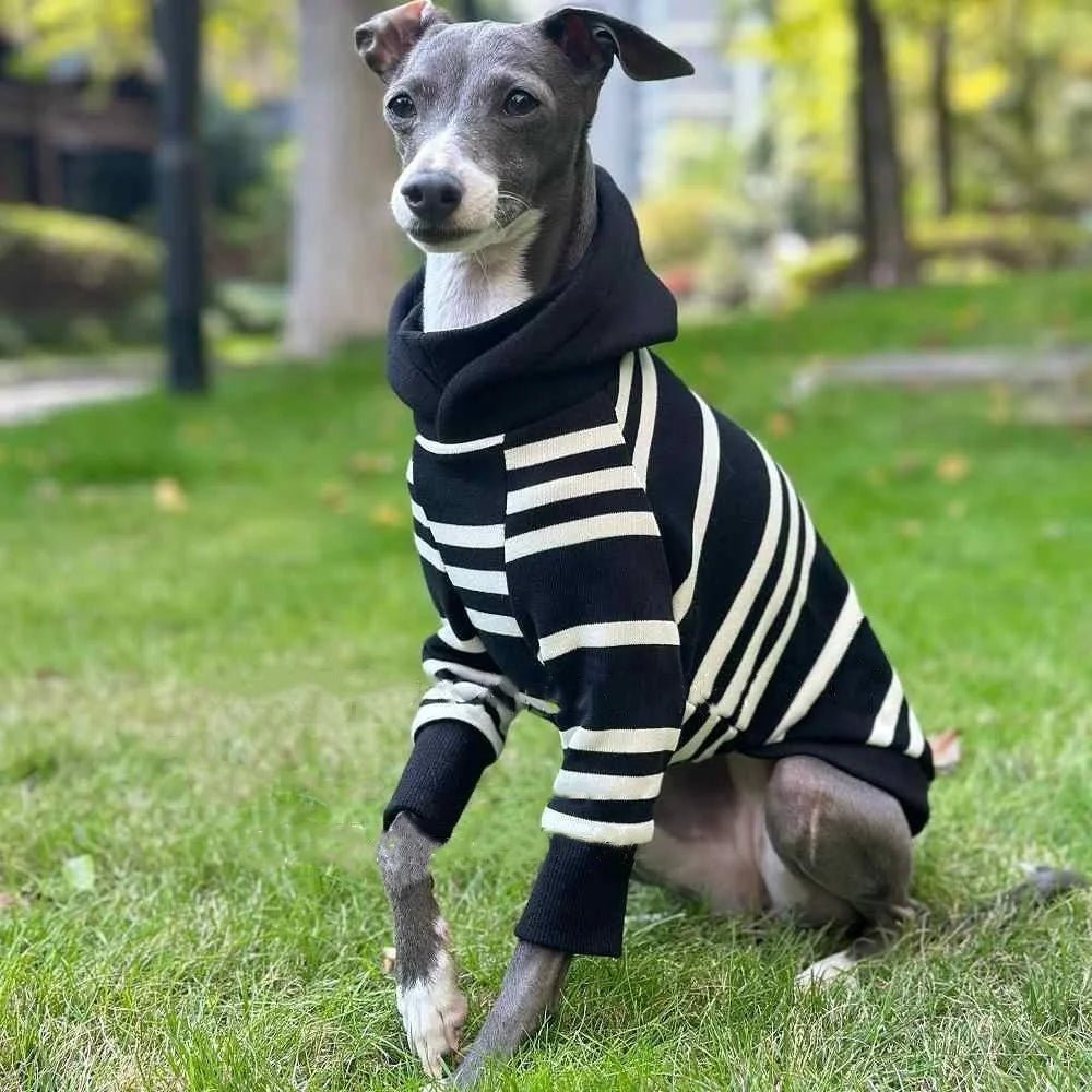 Black - White Striped Hooded Shirt - PetLiveliest - PetLiveliest