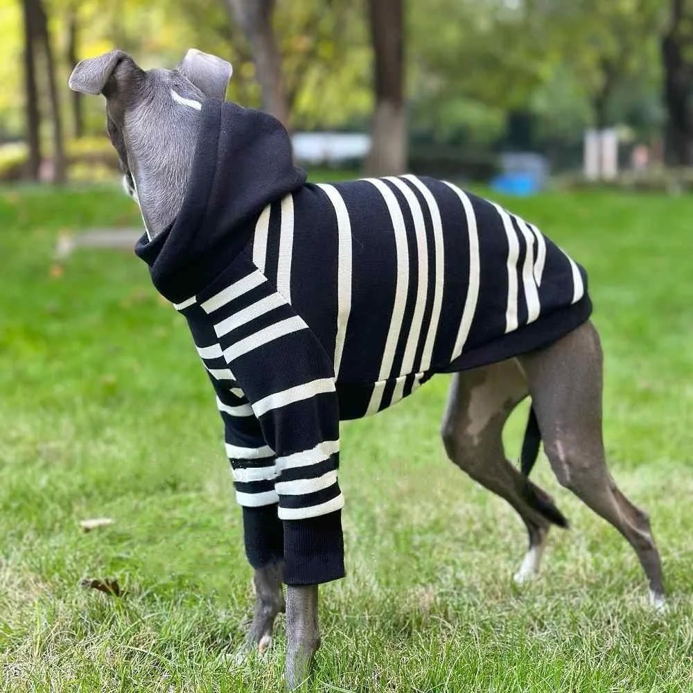 Black - White Striped Hooded Shirt - PetLiveliest - PetLiveliest