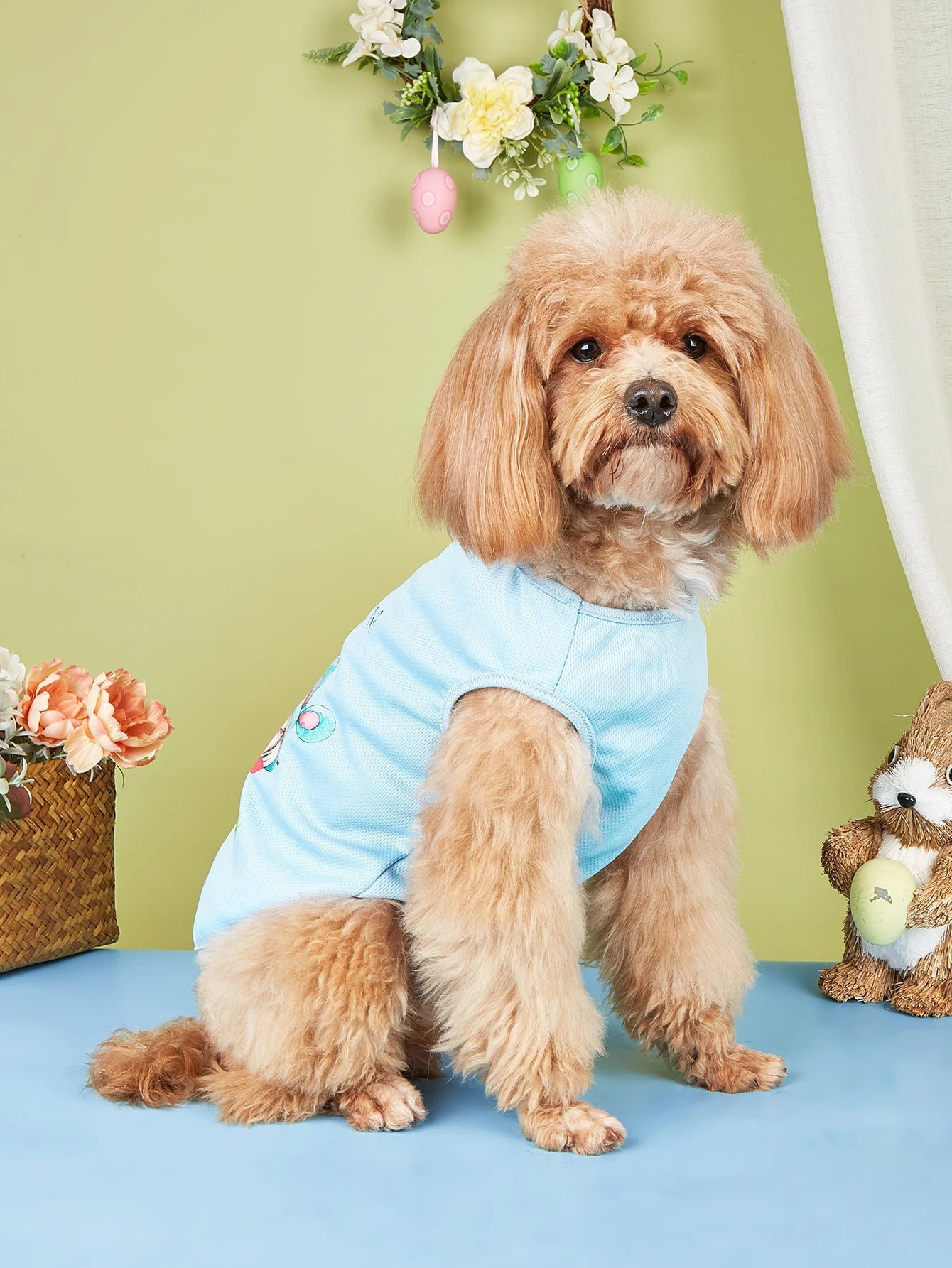 Easter Specials - Blue Dog Vest - PetLiveliest - PetLiveliest