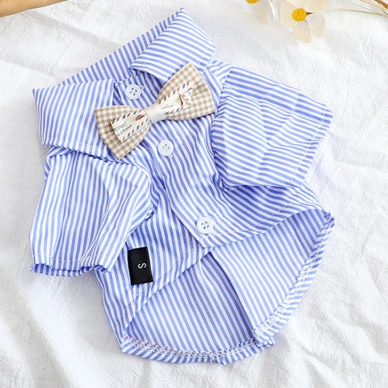 Blue Striped Bowknot Dog Shirt - PetLiveliest - PetLiveliest