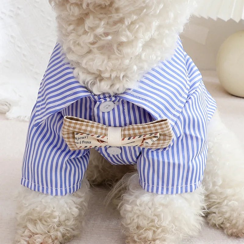 Blue Striped Bowknot Dog Shirt - PetLiveliest - PetLiveliest