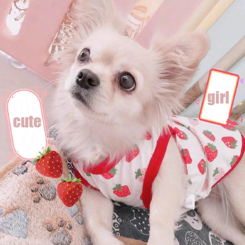Breathable Summer Cartoon Dog Vest - PetLiveliest - PetLiveliest