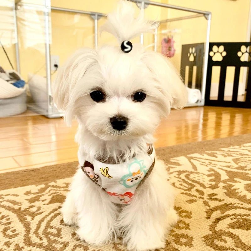 Breathable Summer Cartoon Dog Vest - PetLiveliest - PetLiveliest