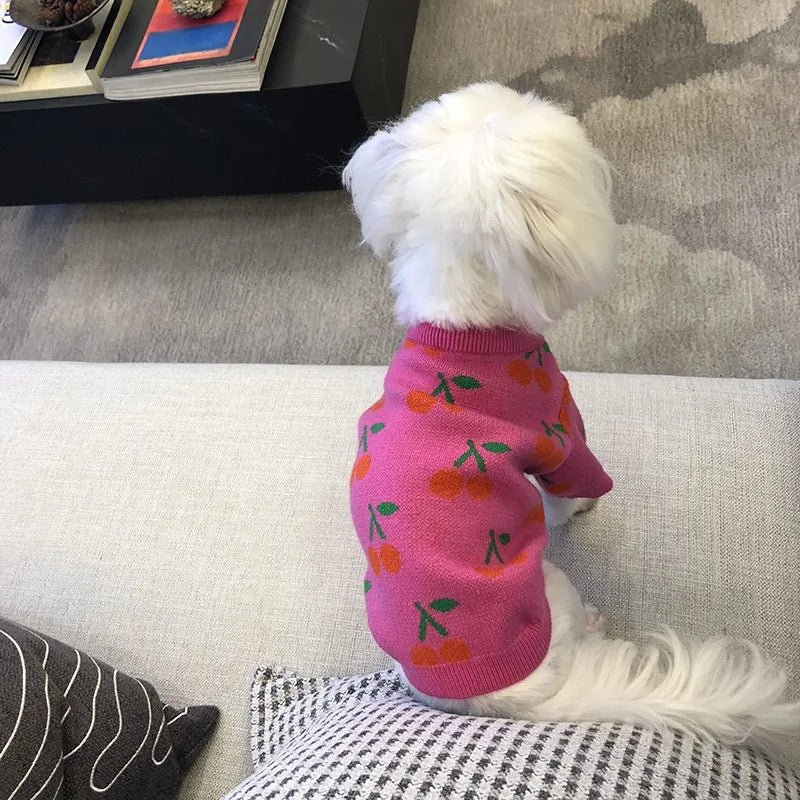 Cherry High Collar Dog Sweater - PetLiveliest - PetLiveliest
