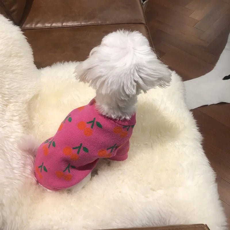 Cherry High Collar Dog Sweater - PetLiveliest - PetLiveliest