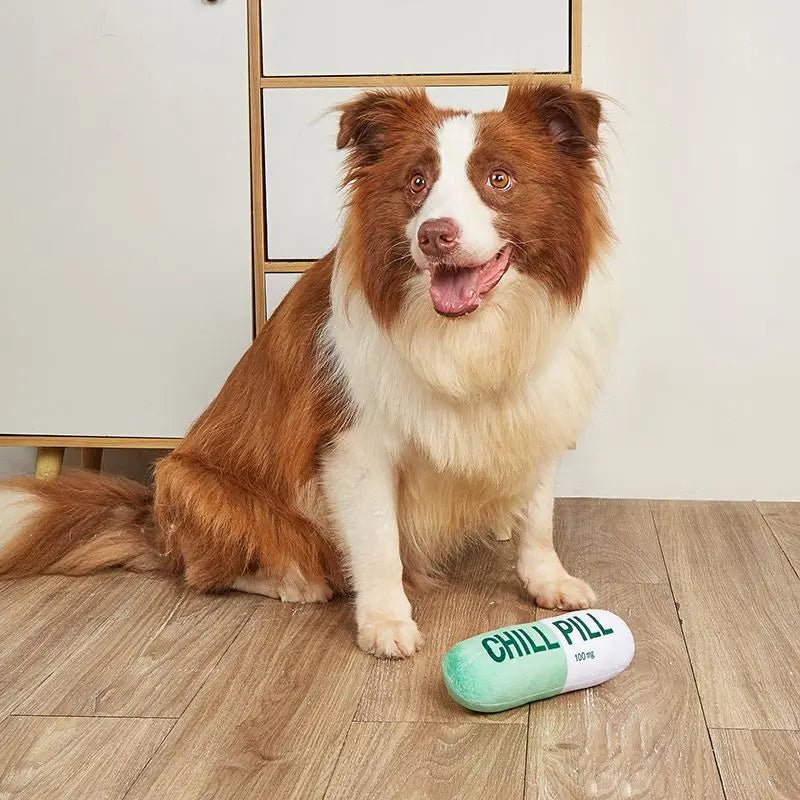 Chill Pill Plush Dog Toy - PetLiveliest - PetLiveliest