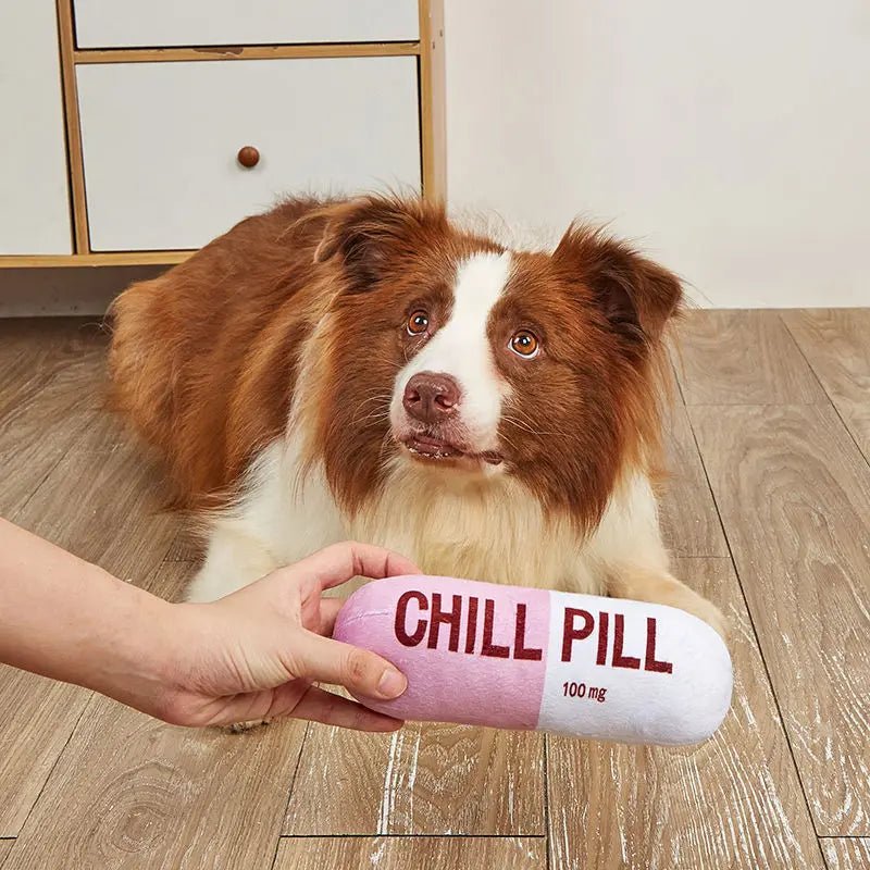 Chill Pill Plush Dog Toy - PetLiveliest - PetLiveliest
