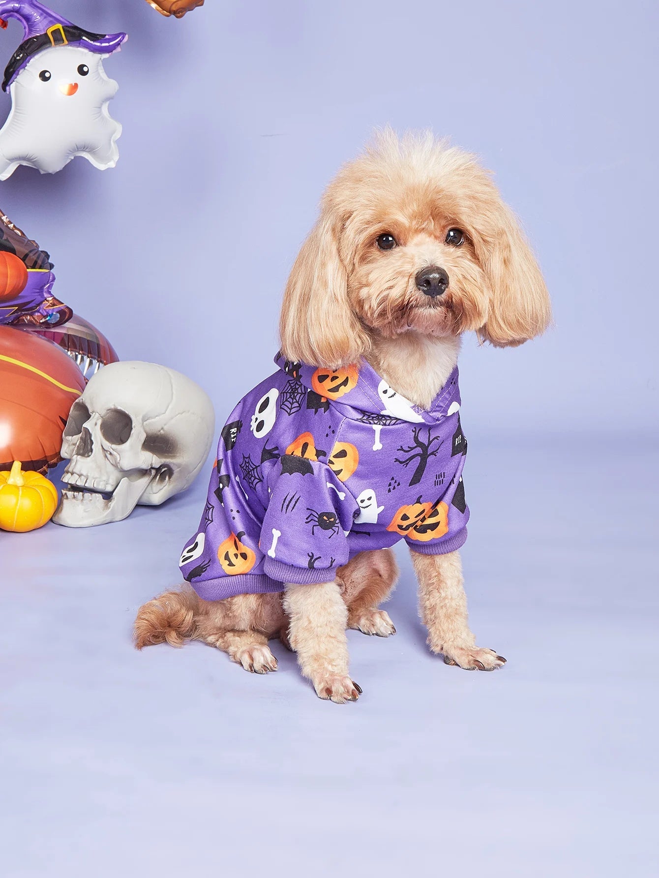 Cozy Halloween Pet Costumes for Small Dogs - PetLiveliest - PetLiveliest