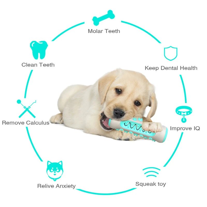 Dog Molar Toothbrush Toy - PetLiveliest - PetLiveliest