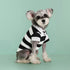 Dog Polo Shirt - PetLiveliest - PetLiveliest