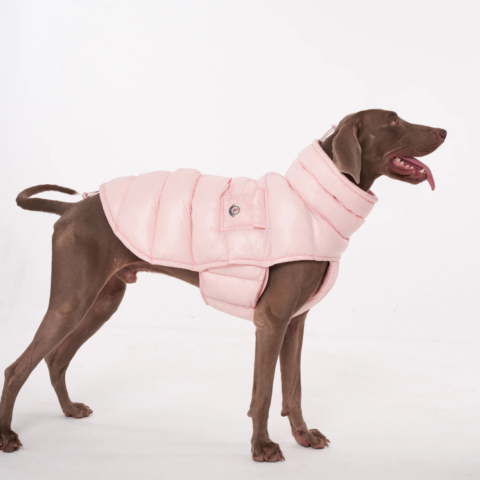 Lightweight Warm Dog Puffer Vest - PetLiveliest - PetLiveliest