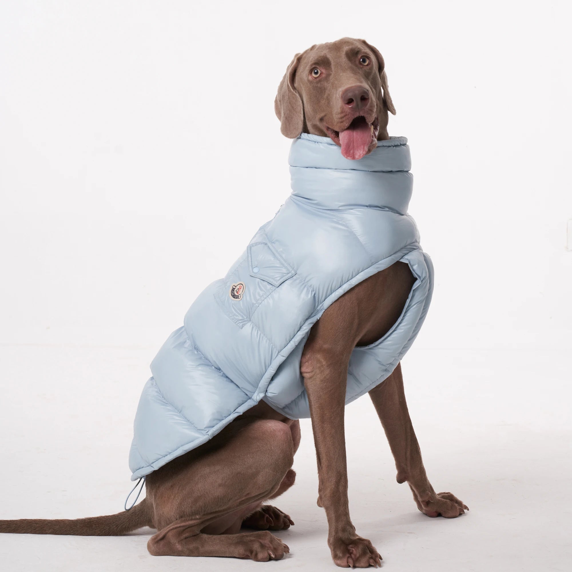 Lightweight Warm Dog Puffer Vest - PetLiveliest - PetLiveliest