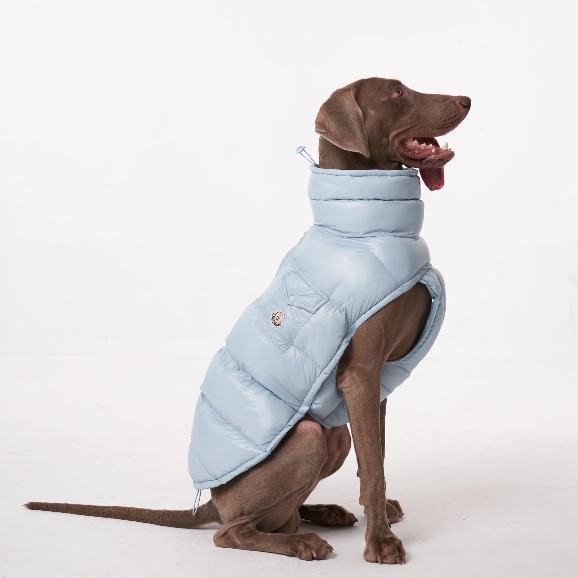 Lightweight Warm Dog Puffer Vest - PetLiveliest - PetLiveliest