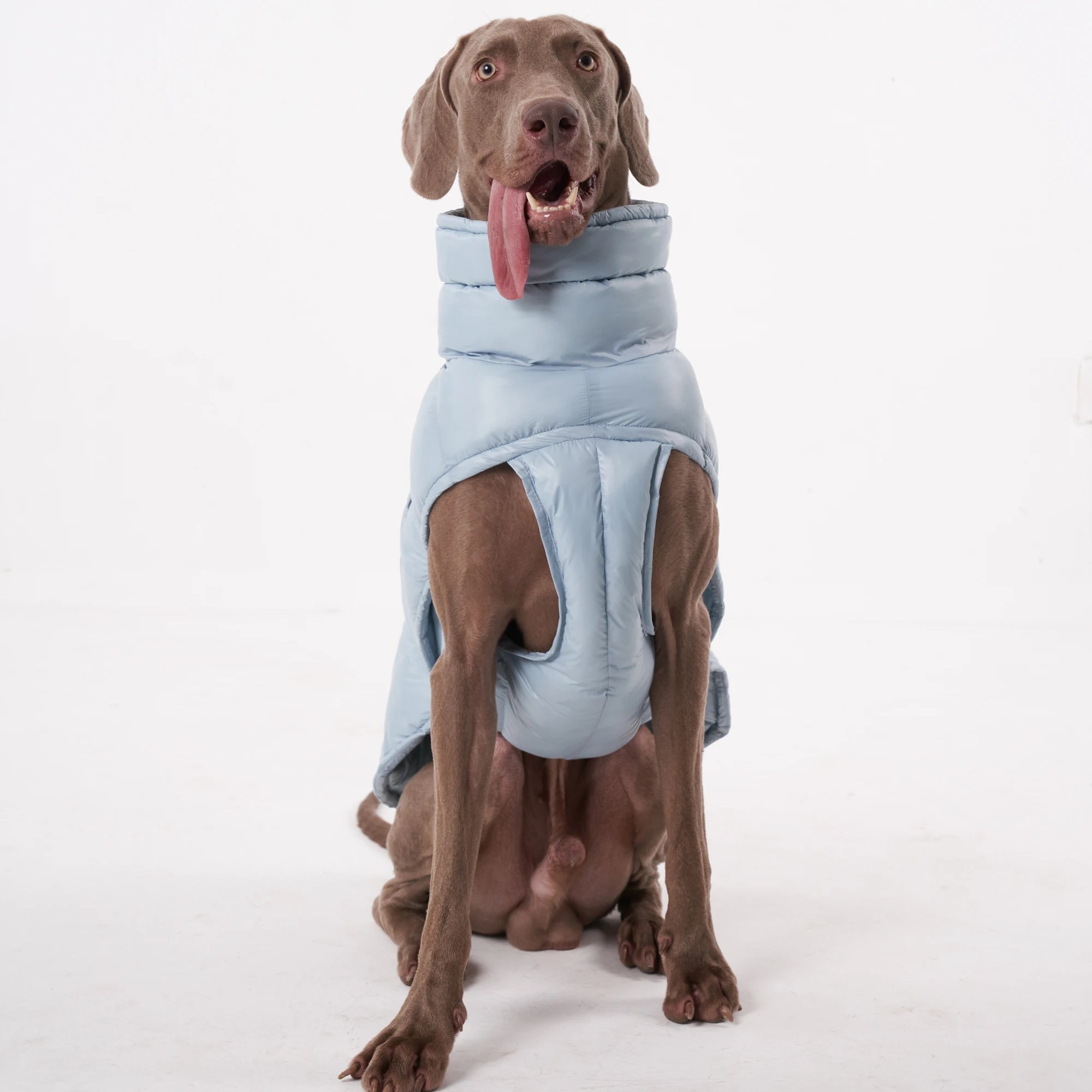 Lightweight Warm Dog Puffer Vest - PetLiveliest - PetLiveliest