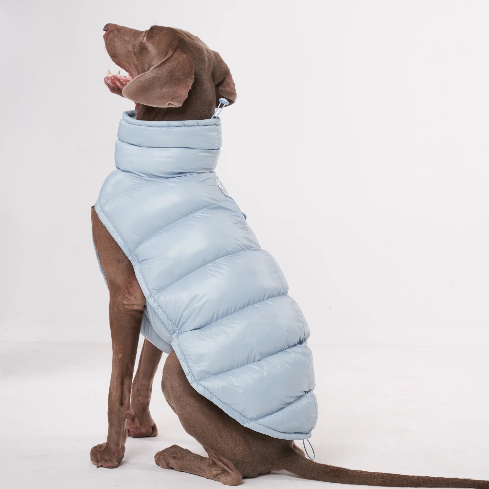 Lightweight Warm Dog Puffer Vest - PetLiveliest - PetLiveliest