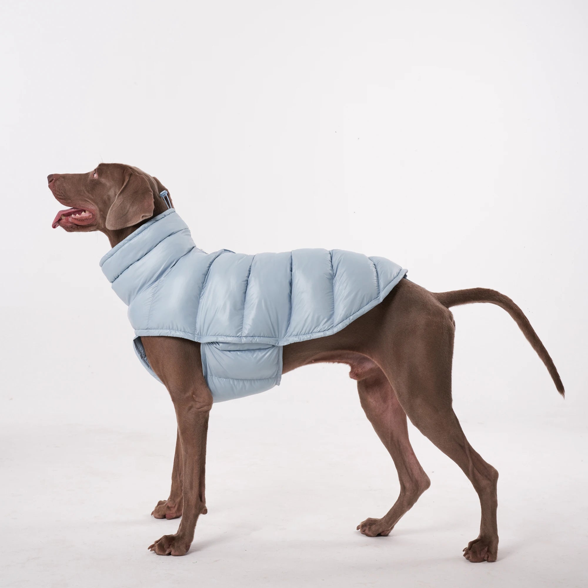 Lightweight Warm Dog Puffer Vest - PetLiveliest - PetLiveliest