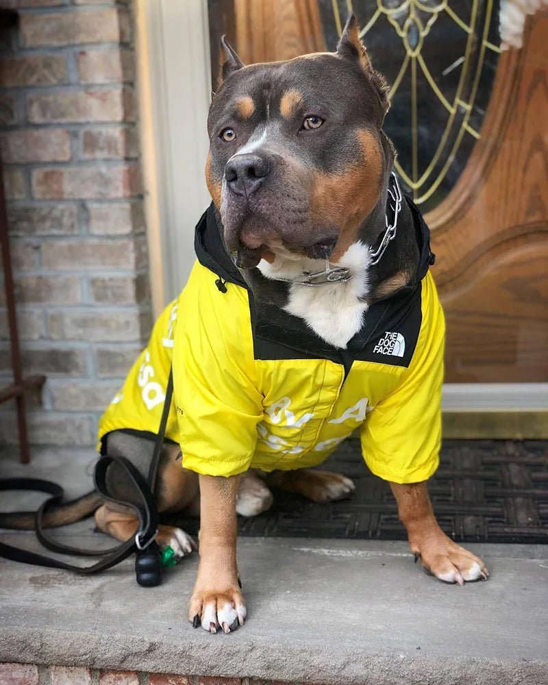 Windbreaker Waterproof Dog Jacket - PetLiveliest - PetLiveliest