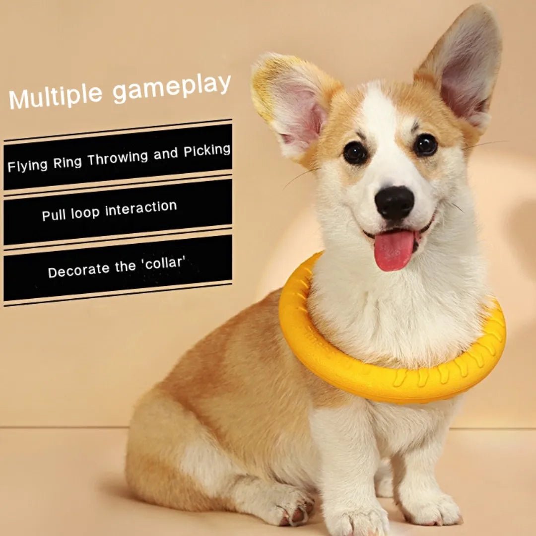 Indestructible Dog Ring Toy - PetLiveliest - PetLiveliest