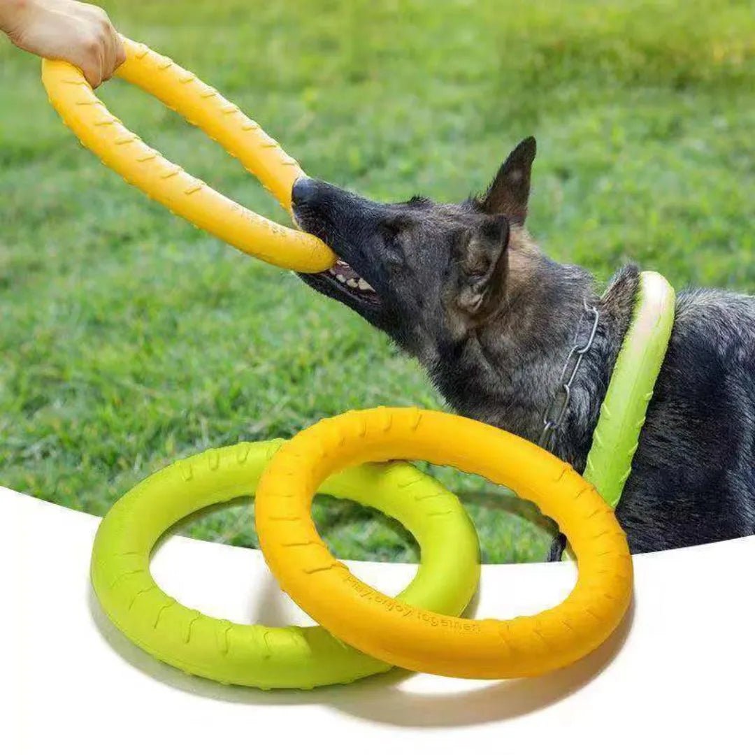 Indestructible Dog Ring Toy - PetLiveliest - PetLiveliest