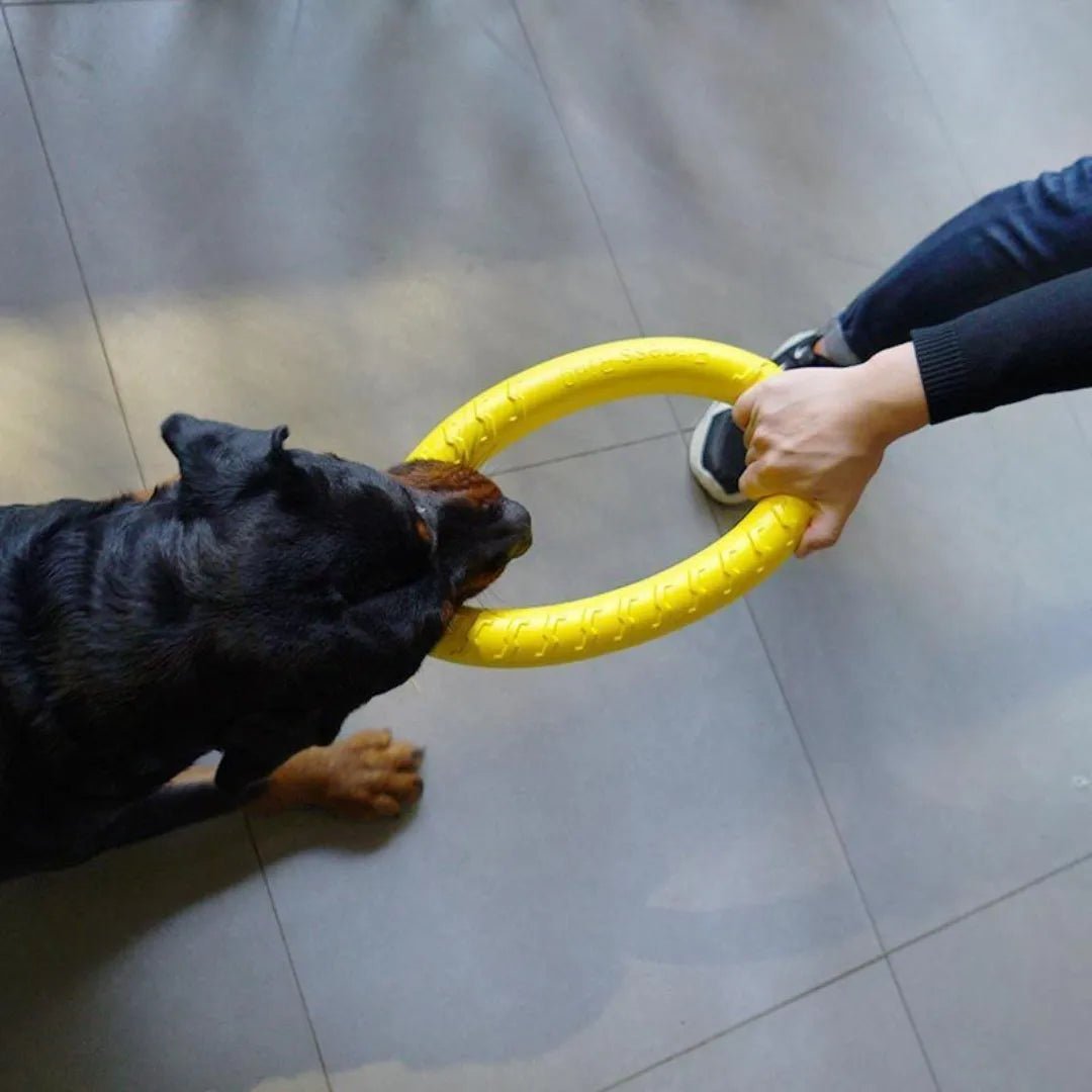 Indestructible Dog Ring Toy - PetLiveliest - PetLiveliest