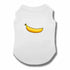 DOLC&BANANA Dog Vest - PetLiveliest - PetLiveliest