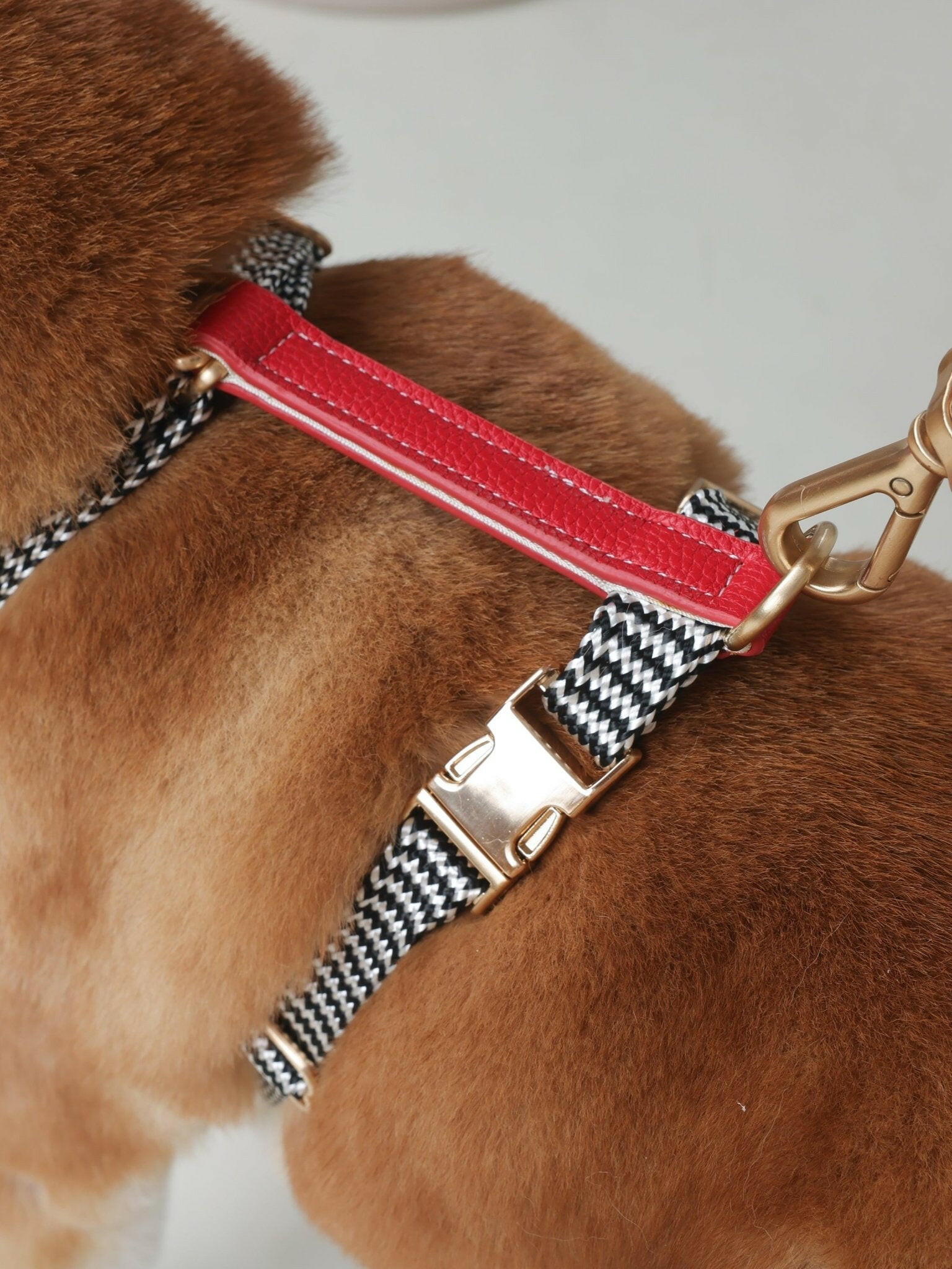 GLORIA HARNESS - MAROON - PetLiveliest - PetLiveliest