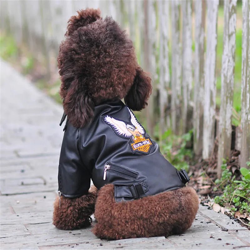 Glorious Eagle Pattern Waterproof Jacket - PetLiveliest - PetLiveliest