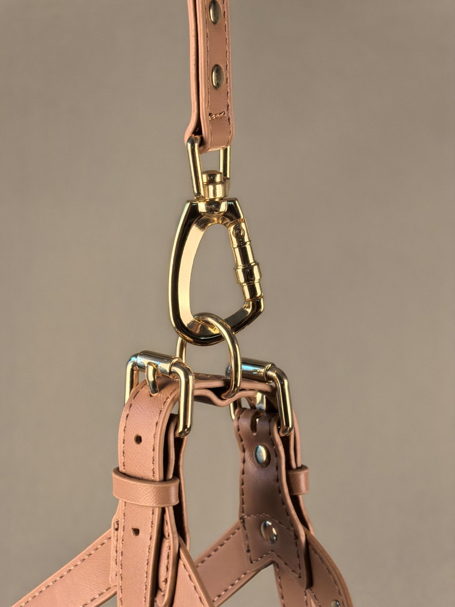 INITIUM LEASH - BEAR BROWN - PetLiveliest - PetLiveliest